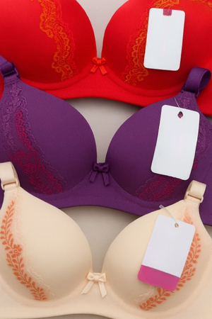 Silk Embroidered Padded Bra - Smart Essential