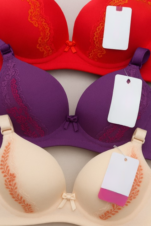Silk Embroidered Padded Bra - Smart Essential