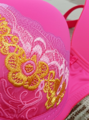 Silk Embroidered Padded Bra - Smart Essential