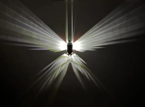 Premium Eagle Wall Light – 3D LED Magnetic Wall Lamp, Luxury Ambient Lighting, Modern Home Decor for Bedroom & Living Room - Smart Essential